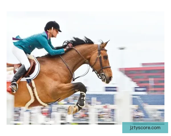 九州体育入口全面解析，畅享精彩赛事与极致娱乐体验